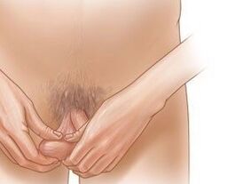 Penis Enlargement Exercise Exercises